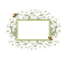 Invitation template with camomile flowers and bees
