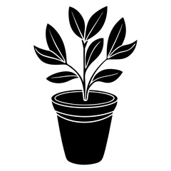 A black and white silhouette of a potted plant with leaves