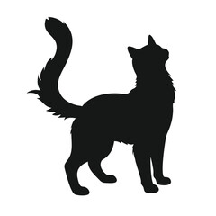 A fluffy black cat silhouette stands attentively, looking upwards, isolated on white background, showcasing its curious nature in a minimalist design