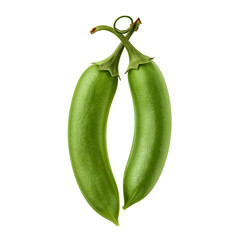 Two fresh bright green jalapeno peppers are artfully arranged crossing and touching at their stems isolated on white