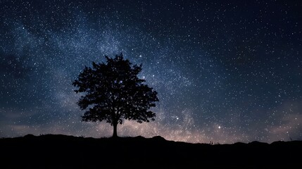 Silhouette of a Tree Against a Starry Night Sky .