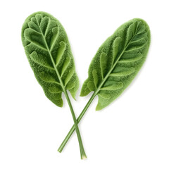 A top-down view of two vibrant green sage leaves their textured surfaces and distinct veins clearly visible against white