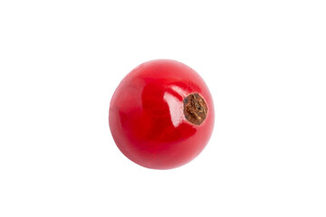 Red currant berry front view, isolated on transparent background, PNG