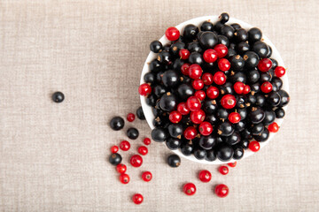 Red and Black Currants in White Bowl Top View
