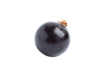 Single Black Currant Berry, isolated on transparent background, PNG
