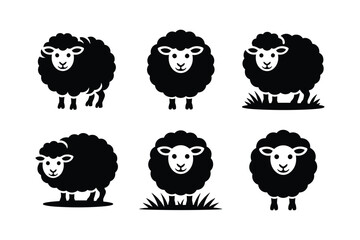 Black sheep silhouettes standing on white background with grass animal farm