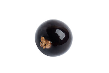 Single Black Currant Berry, isolated on transparent background, PNG