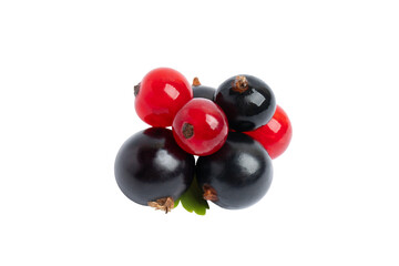 Red and Black Currants, isolated on transparent background, PNG