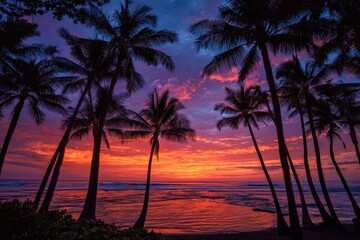 Obraz premium Tropical Sunset with Palm Trees Silhouette.