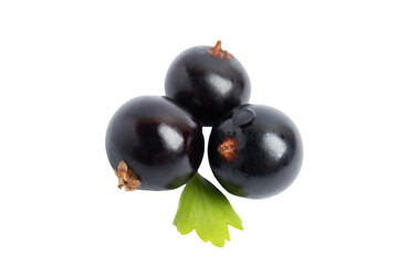Three Jabuticaba Berries, isolated on transparent background, PNG