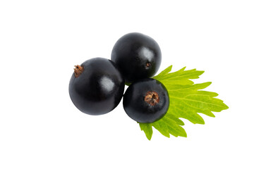 Three Jabuticaba Berries, isolated on transparent background, PNG