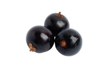 Three Jabuticaba Berries, isolated on transparent background, PNG