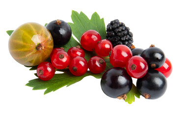 Mixed berries assortment on green leaves, isolated on transparent background, PNG