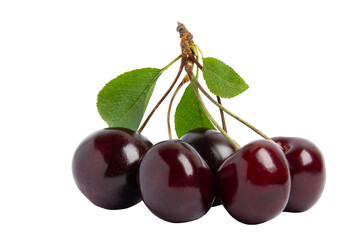 Fresh dark cherries with leaves, isolated on transparent background, PNG