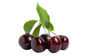 Dark cherries with green leaves, isolated on transparent background, PNG