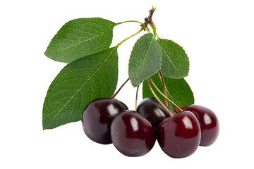 Dark Cherries with Leaves, isolated on transparent background, PNG