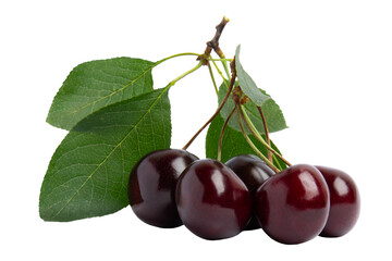 Dark Cherries with Leaves, isolated on transparent background, PNG