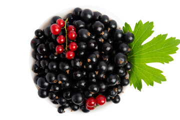 Black and red currants in bowl – top view, isolated on transparent background, PNG