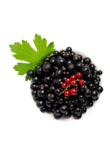 Black and red currants in bowl – top view, isolated on transparent background, PNG