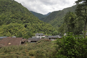 Tongmuguan Nature Reserve in Nanping Wuyishan city Fujian China