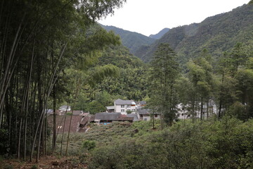 Tongmuguan Nature Reserve in Nanping Wuyishan city Fujian China