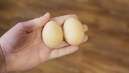 Chicken eggs in a hand against a light background, with smooth surface and natural color