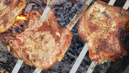 Juicy meat pieces grill over coals, releasing aromatic smoke, evoking a barbecue atmosphere