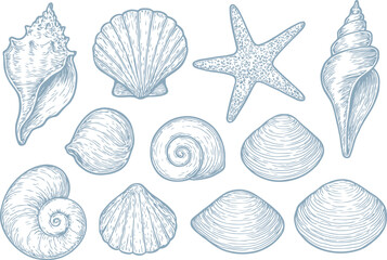 Seashells and Starfish Vector Set, Ocean Beach Sketch Collection