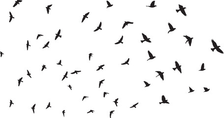 Obraz premium A Flock of Birds in Flight Silhouetted Against a White Sky Creating a Dynamic and Ethereal Composition