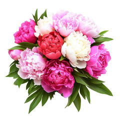 Five peony flowers bouquet on transparent png background. Ai generated