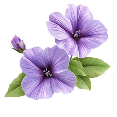 Hyperrealistic hibiscus flower with soft shadows, on transparent png background. Ai generated