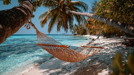 Tropical beach hammock under palm trees