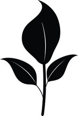 Peace Lily silhouette on a white background