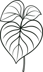 Philodendron line art on a white background