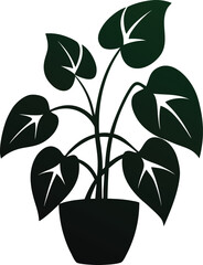 Pothos (Money Plant) silhouette on a white background