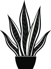 Snake Plant (Sansevieria) line art on a white background