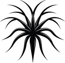 Spider Plant silhouette on a white background