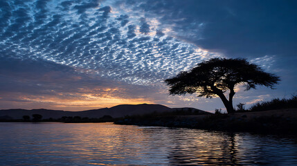 Acacia tree silhouette against dramatic sky over calm water at dusk dawn sunset