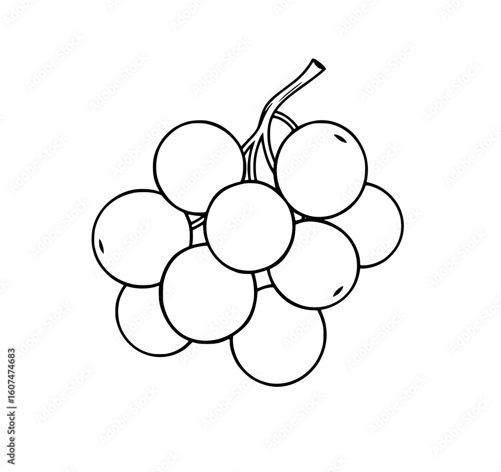 Poster simple grape bunch: a clean line art illustration showcases a cluster of grapes, emphasizing their r