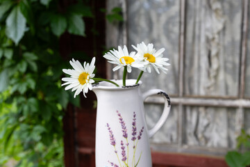 Gypsophila and daisies in a white vase on the grass. Country sunset