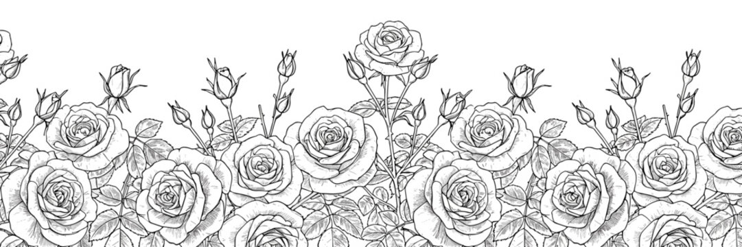 Rose bush vector border on the bottom for greeting cards and branding — vintage sketch doodle vector illustration on white background