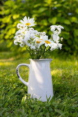 Gypsophila and daisies in a white vase on the grass. Country sunset