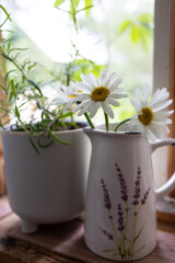 Gypsophila and daisies in a white vase on the grass. Country sunset
