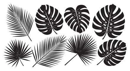 Black monstera and palm leaves monstera leaves tropical leaves