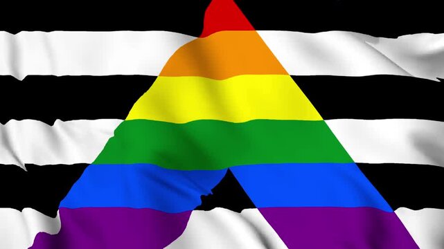 The Straight Ally Pride Flag background. Realistic Straight Ally pride flag waving in the wind. LGBTQ+ Straight Ally community symbol Perfect Loop 4K video.