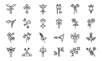 Feminine Botanical Line Art Icons Bundle 24 Minimal Uterus, Flower, and Herbal Vector Icons for Women’s Wellness, Self-Care, Spiritual Design, and Feminist Projects