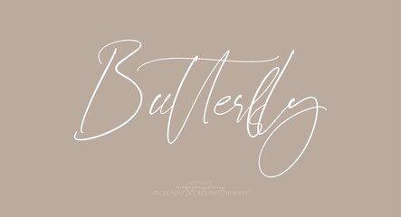 Signature Font Calligraphy Logotype Script Font Type Font lettering handwritten
