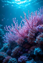 : Vibrant Underwater Coral Reef: Ocean Life & Marine Ecosystem