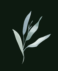 vector illustration of a branch with leaves