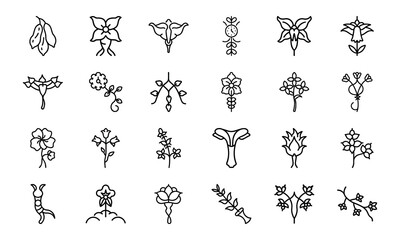 Feminine Botanical Line Art Icons Bundle 24 Minimal Uterus, Flower, and Herbal Vector Icons for Women’s Wellness, Self-Care, Spiritual Design, and Feminist Projects